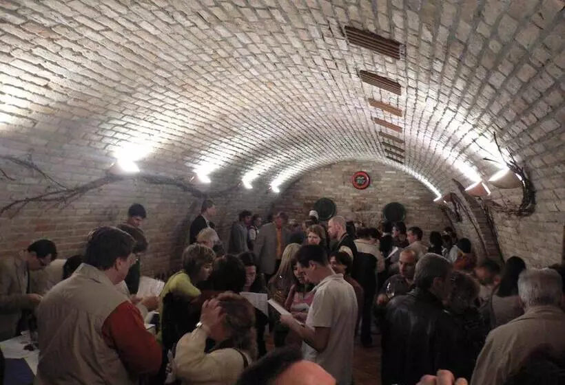 ホテル Bukovanský Mlýn