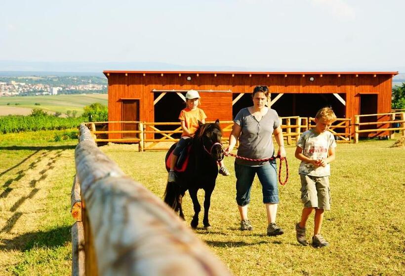 호텔 Bukovanský Mlýn