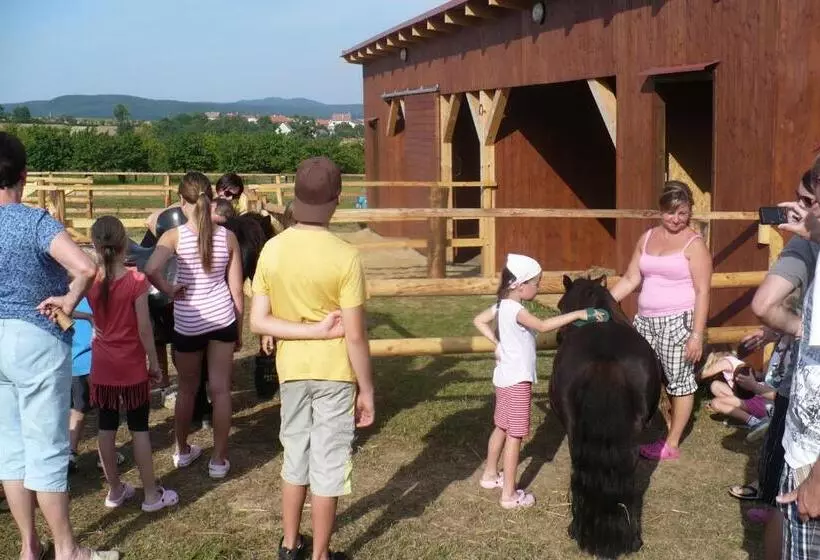 ホテル Bukovanský Mlýn