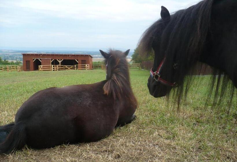 호텔 Bukovanský Mlýn