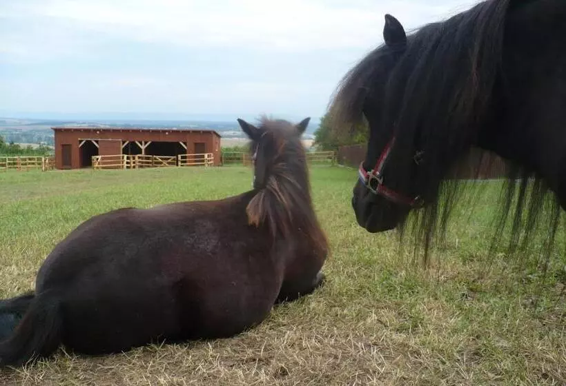 ホテル Bukovanský Mlýn