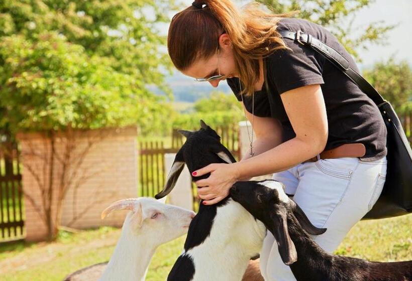 호텔 Bukovanský Mlýn