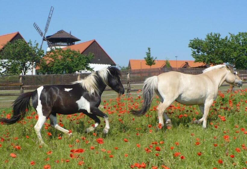 호텔 Bukovanský Mlýn