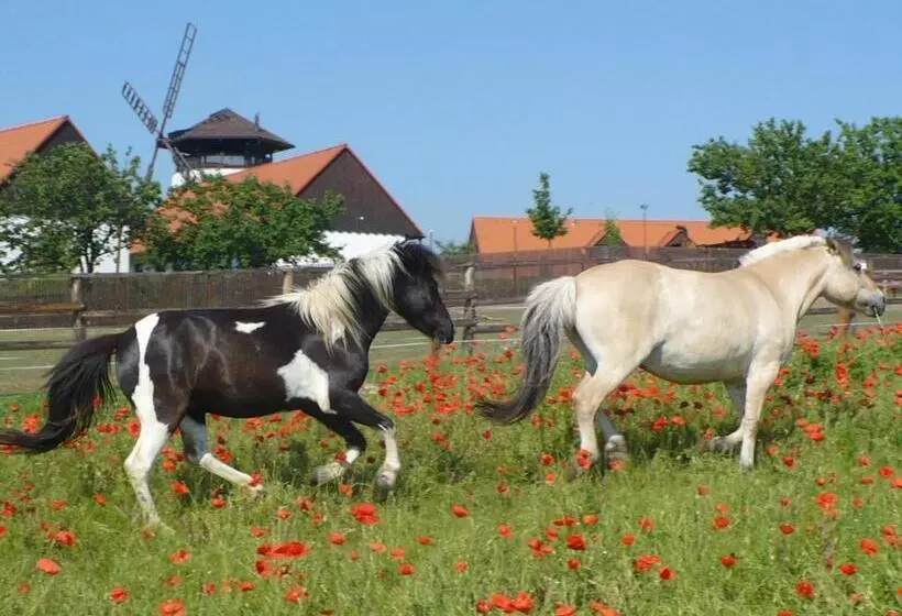 ホテル Bukovanský Mlýn