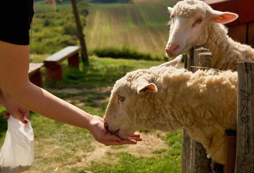 호텔 Bukovanský Mlýn