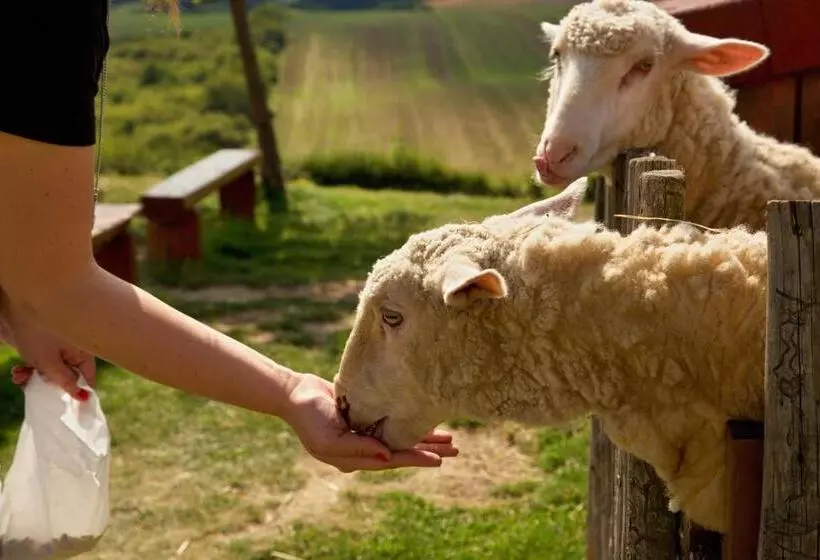 ホテル Bukovanský Mlýn