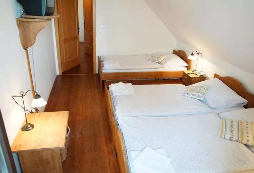 ホテル Bukovanský Mlýn