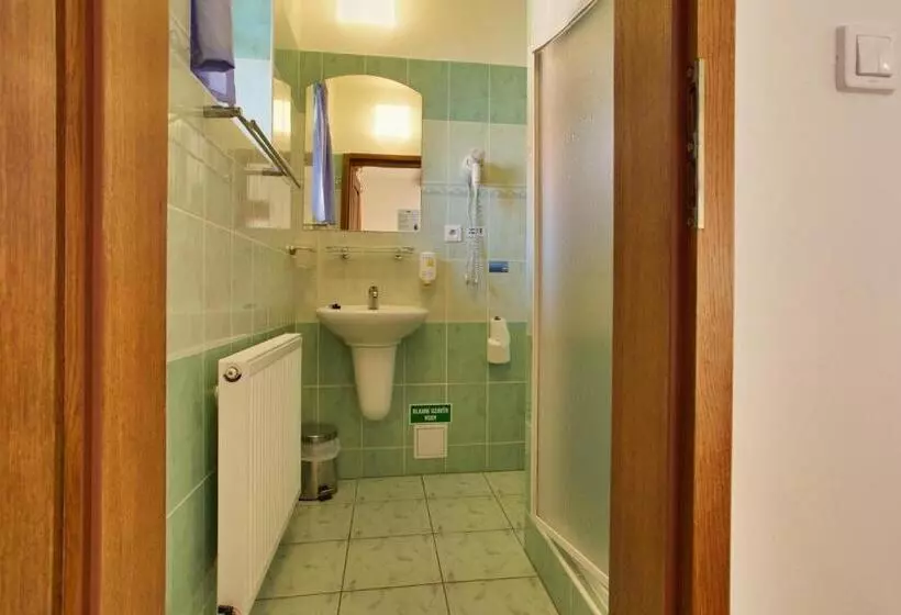 ホテル Bukovanský Mlýn