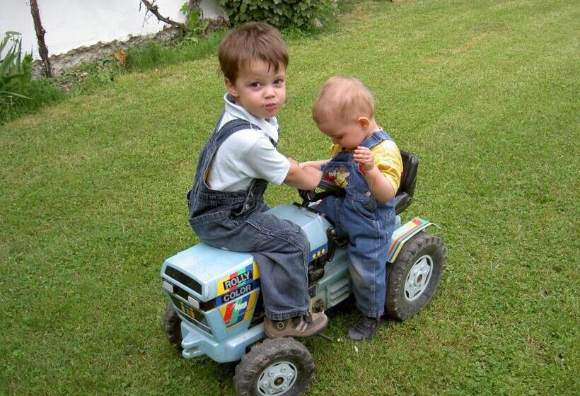 فندق Gölsenhof   Fam. Büchinger