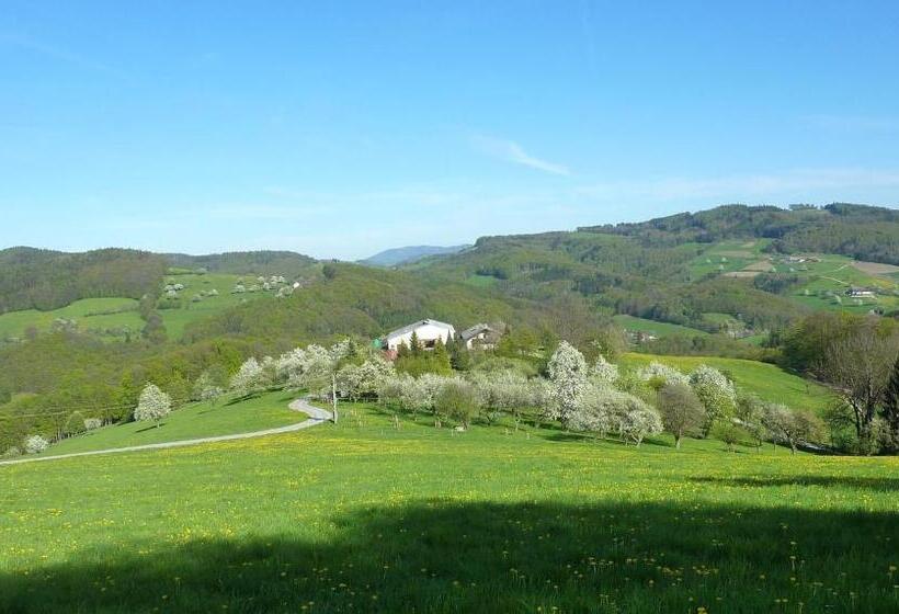 فندق Gölsenhof   Fam. Büchinger