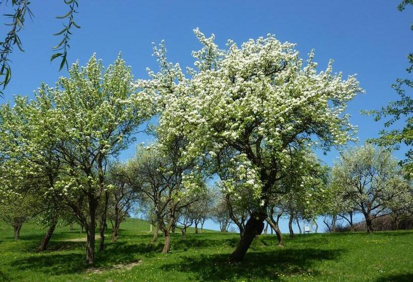 فندق Gölsenhof   Fam. Büchinger