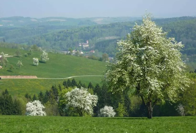 ホテル Gölsenhof   Fam. Büchinger