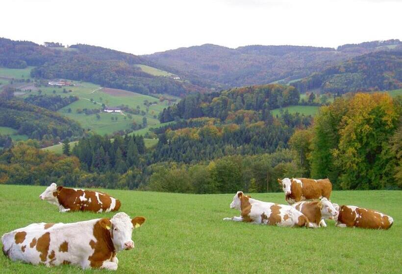 فندق Gölsenhof   Fam. Büchinger