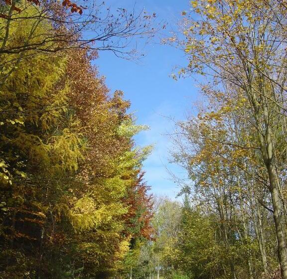 فندق Gölsenhof   Fam. Büchinger