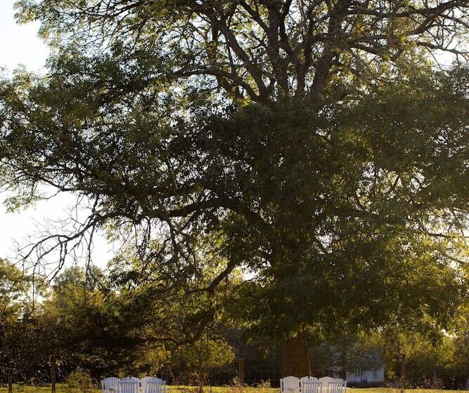 בית מלון כפרי Ljungs Fem Rum