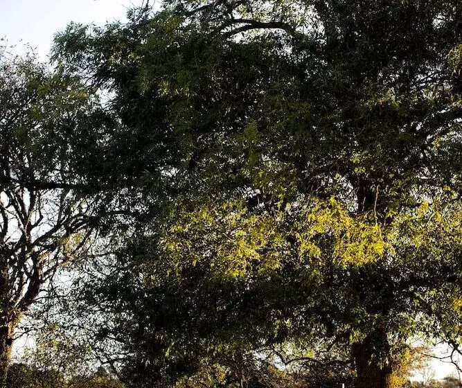 ホテル Ljungs Fem Rum