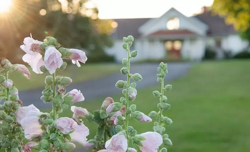 Hotelli Två Skyttlar