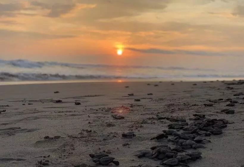 Hotelli Villa Murano