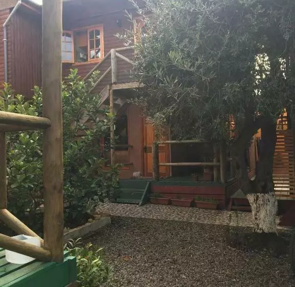 La Maison Des Fous