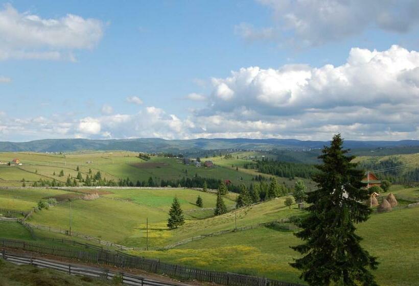 膳宿费 Cabana Moţilor