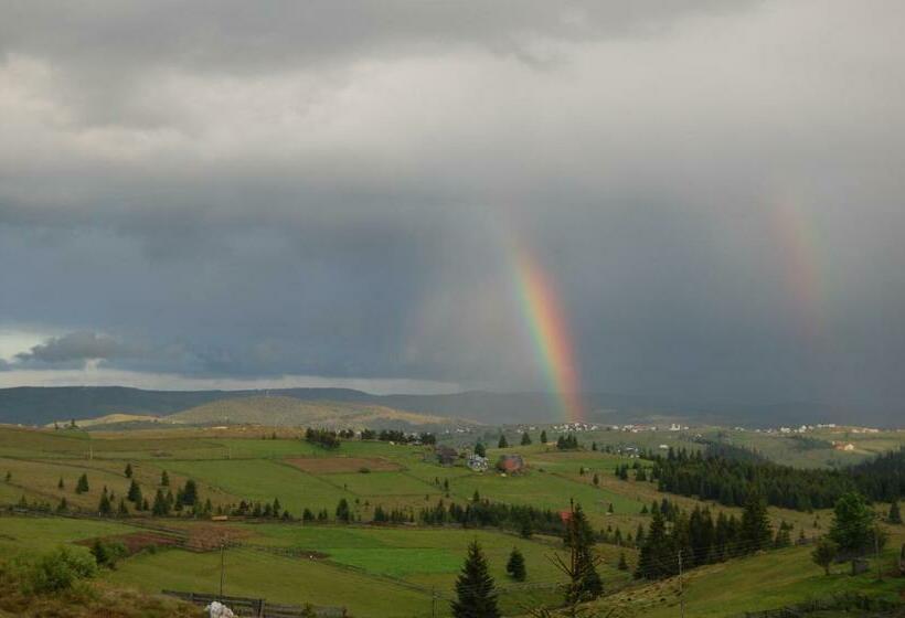 膳宿费 Cabana Moţilor