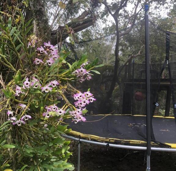 بنسيون Pousada Paraíso Do Luz