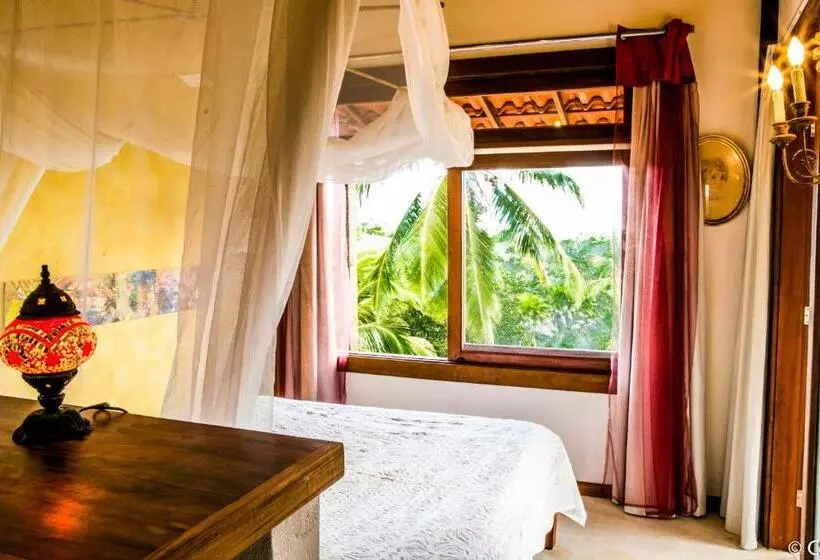 ペンション Pousada Too Cool