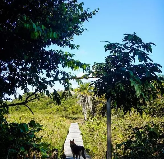 ペンション Pousada Too Cool