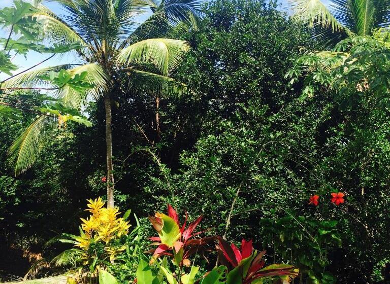 פנסיון Pousada Too Cool