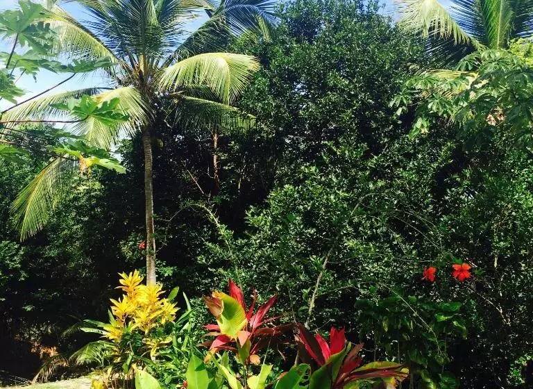 ペンション Pousada Too Cool