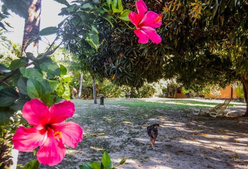 פנסיון Pousada Too Cool