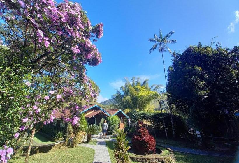 Пансион Repousada Sana