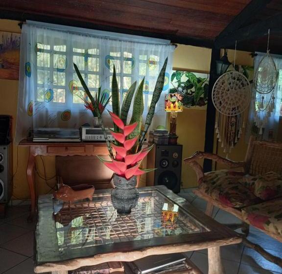 Пансион Repousada Sana