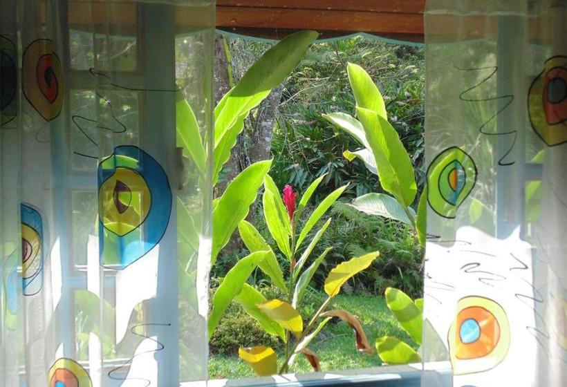 Пансион Repousada Sana