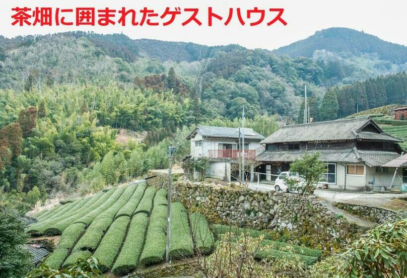 פנסיון Sky Tea House