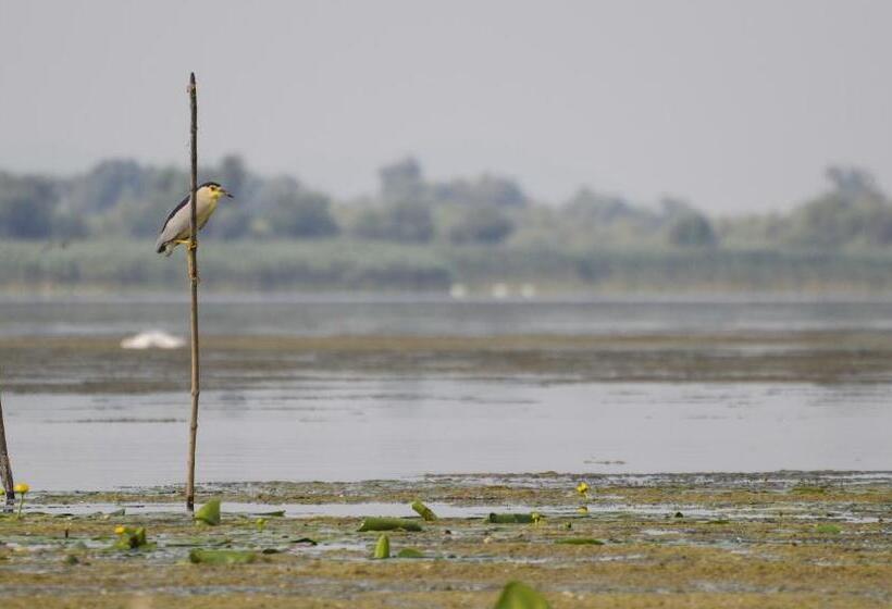 بنسيون Vila Delta Travel Mila 23