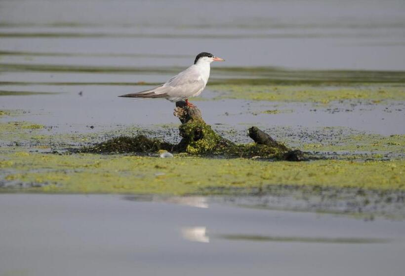 بنسيون Vila Delta Travel Mila 23