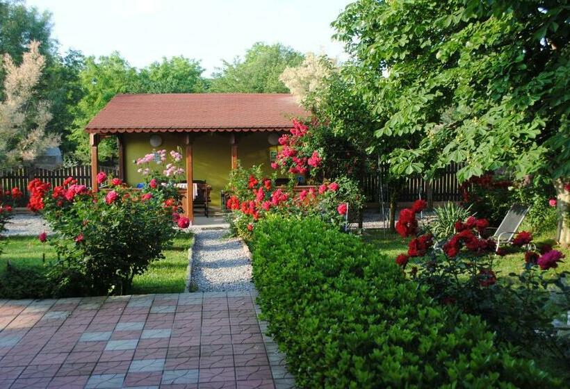 بنسيون Vila Delta Travel Mila 23