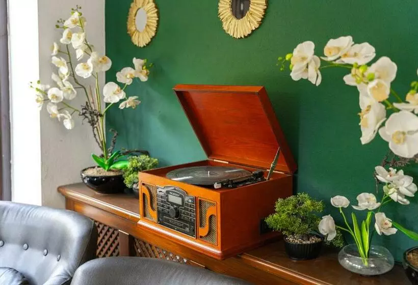 Piscul Negru Hotel   Transfagarasan