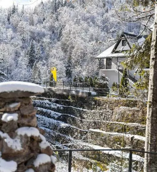 Piscul Negru Hotel   Transfagarasan