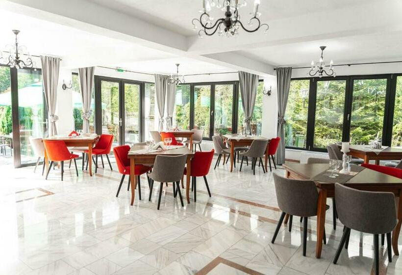 Piscul Negru Hotel Transfagarasan