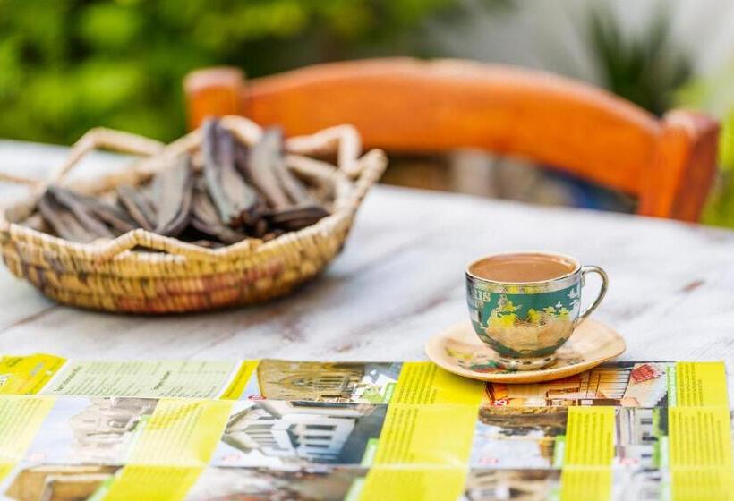 צימר Cypriot Swallow Boutique