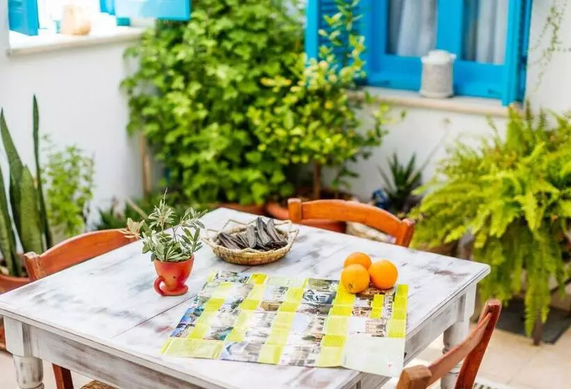 ベッドアンドブレックファースト Cypriot Swallow Boutique