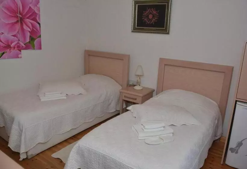 ベッドアンドブレックファースト Cypriot Swallow Boutique