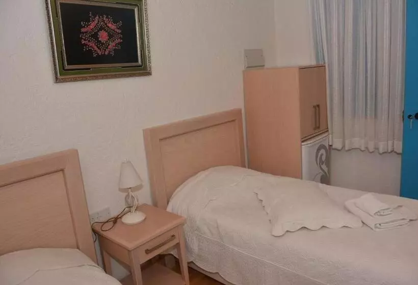 ベッドアンドブレックファースト Cypriot Swallow Boutique