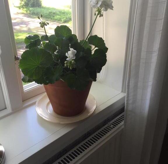 Bjälbo Gästhus B&b