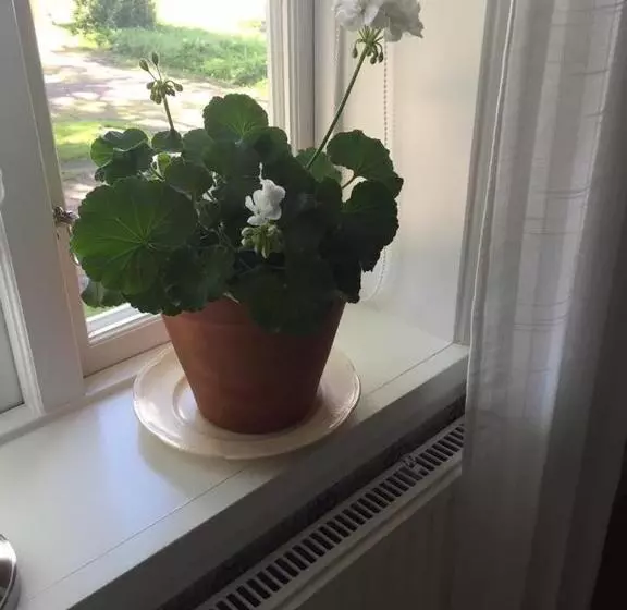 Bjälbo Gästhus B&b