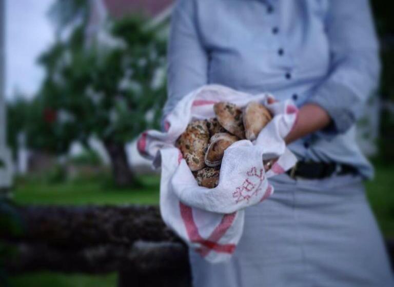 Bjälbo Gästhus B&b