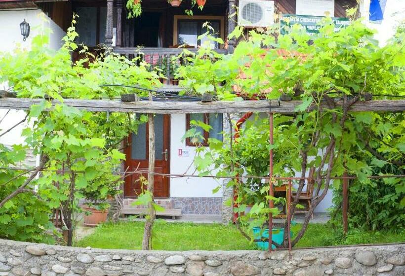 Hotel Agro Pensiunea Plaiul Castanilor