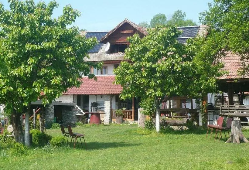 ホテル Agro Pensiunea Plaiul Castanilor
